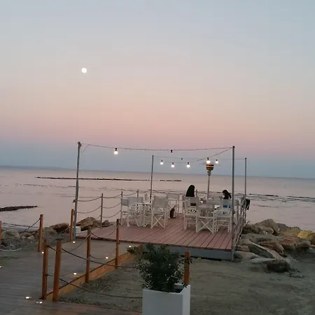 호텔 Island Boutique 라르나카