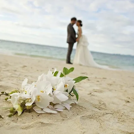 호텔 Island Boutique 3*