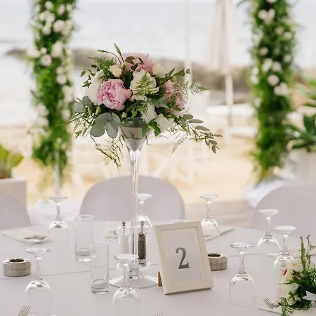 호텔 Island Boutique 라르나카