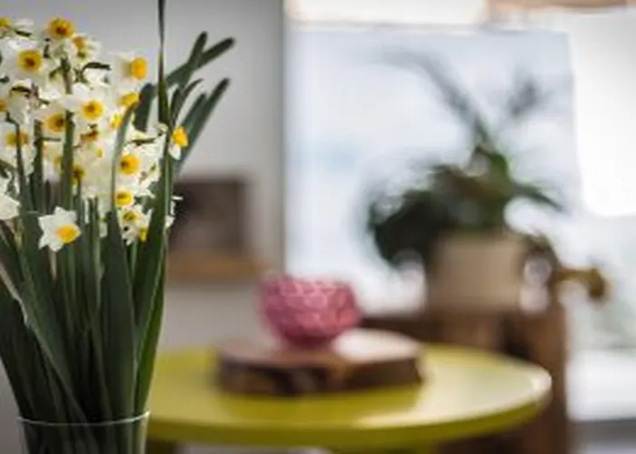 Island Boutique Отель 3*