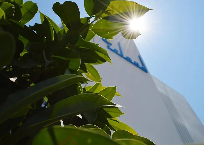 آيلاند البوتيكي لارنكا